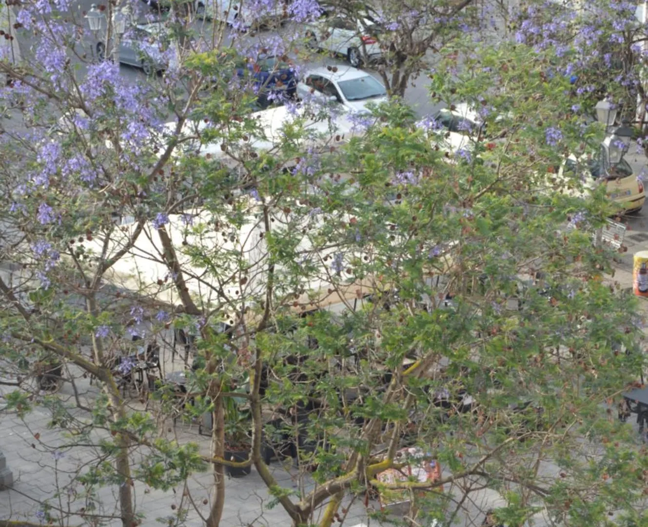 Apartmán La Casa Di Gianna Sassari